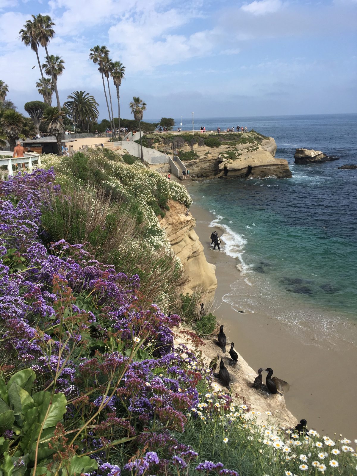 The Jewel of California