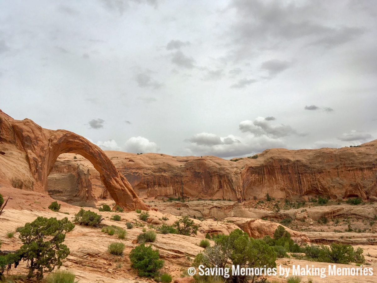 Mighty Fun Moab!