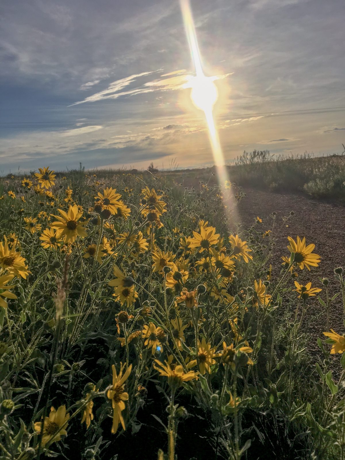Happy Trails – New and Old